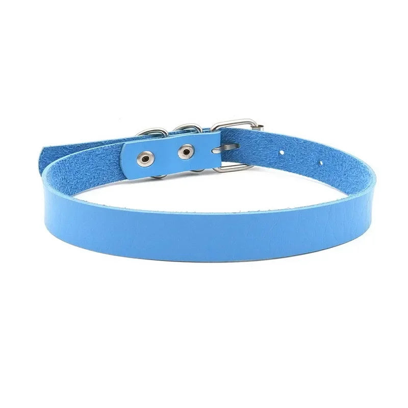 S6fd163d48b504d8e8d4b399f6f0ba84da