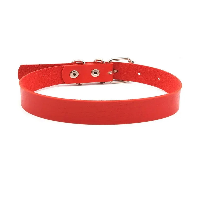 S876bd10833fb40209222308d33df3b7dZ