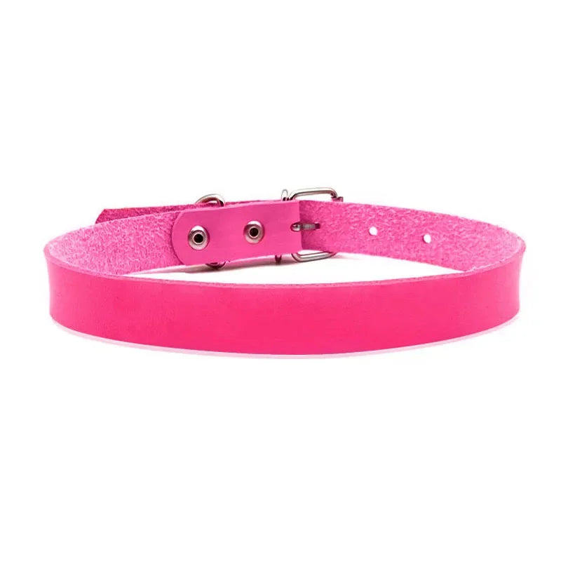 S90fd766de7b74488acc456f8f46e01f4M