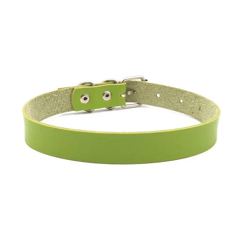 S991ef320e2e94fb9b72e46e51ecc0622w