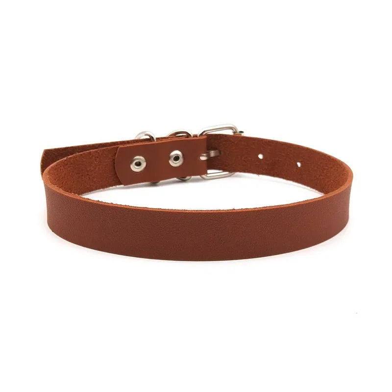 Sc5bb2863ab09447db97b78a6207d8dabg