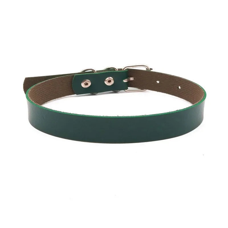 Sd020deca1a0e44ef9ec645590d7c8a01C