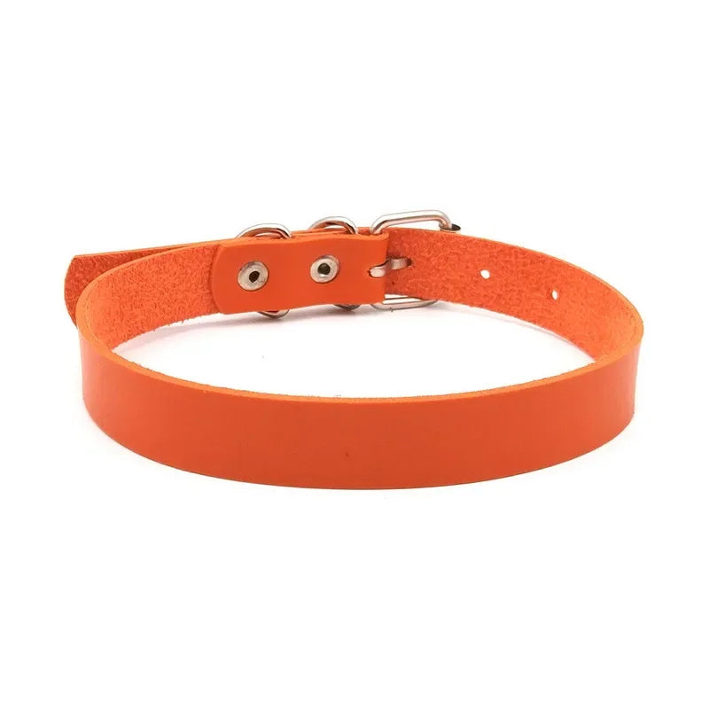 Sf2b10ce21da248a6a42870ecb70ee290N